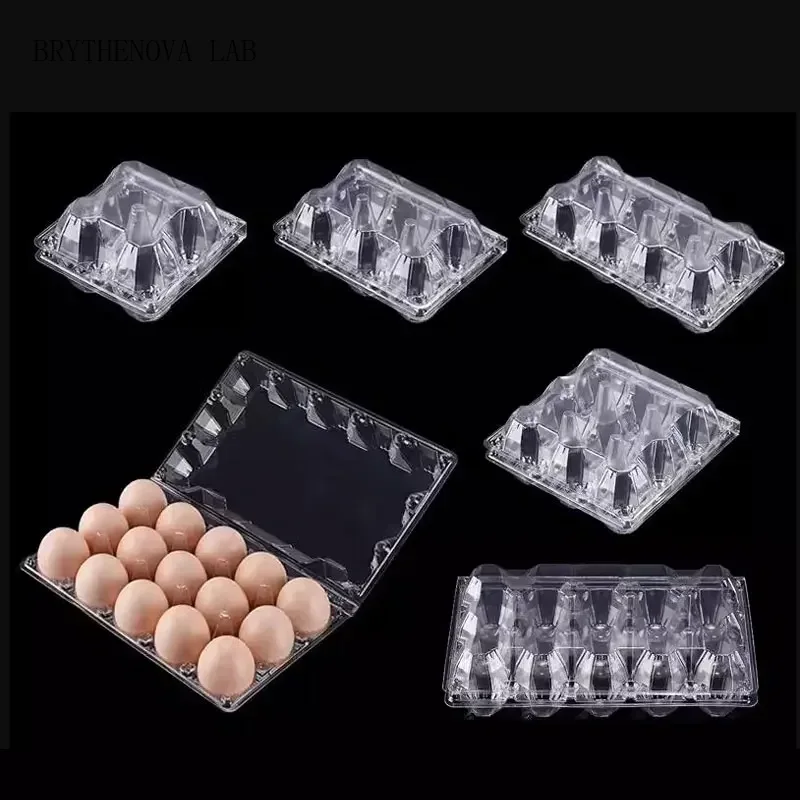 20pcs Disposable Plastic Egg B - Event Party Box review and price