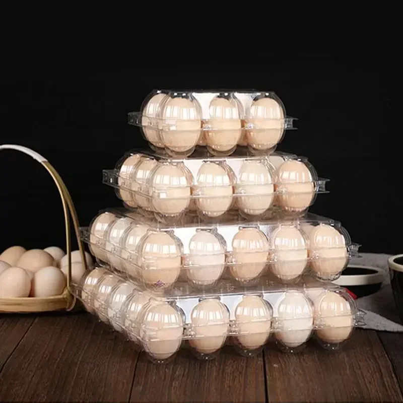 20pcs Disposable Plastic Egg B - Event Party Box review and price