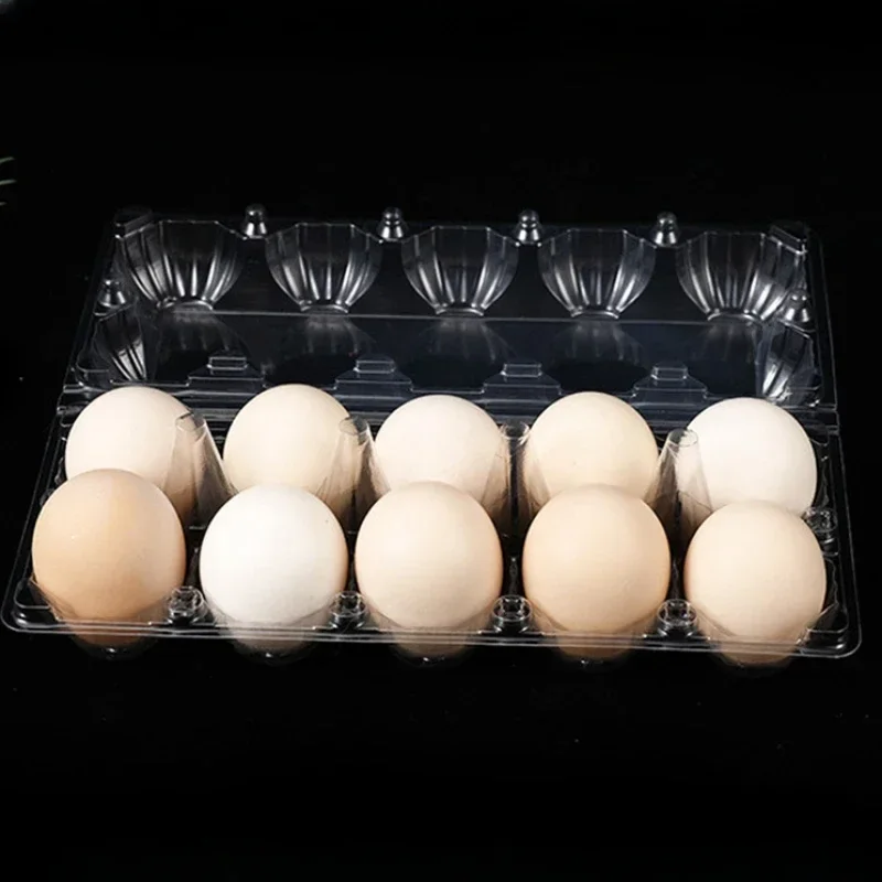 20pcs Disposable Plastic Egg B - Event Party Box review and price