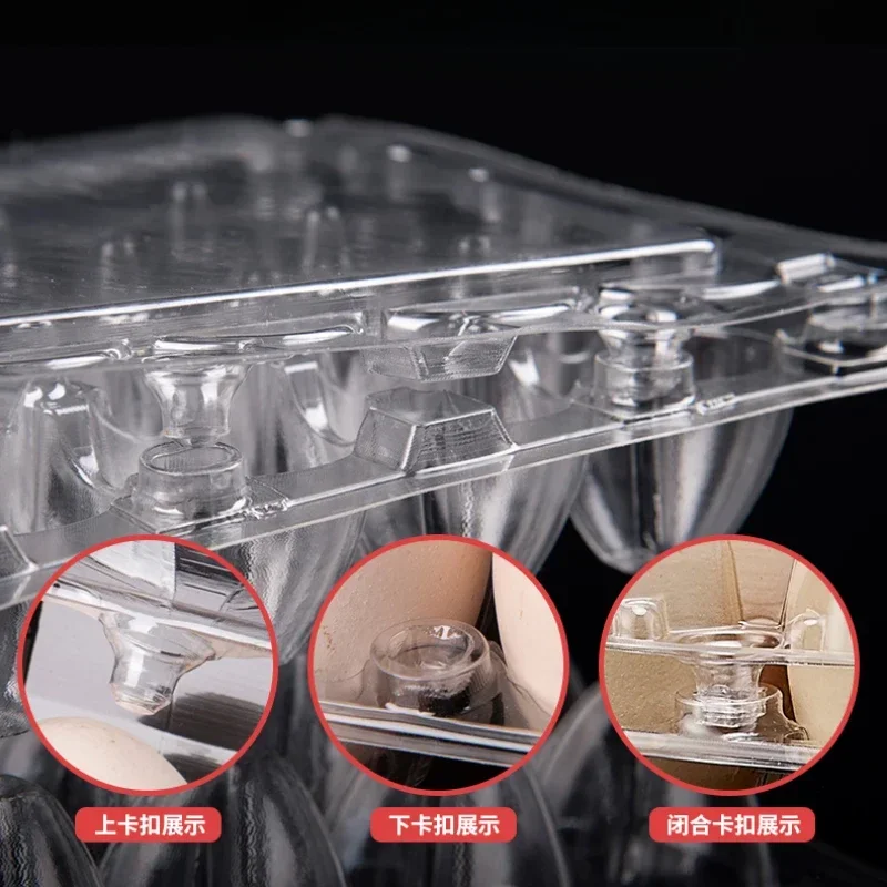 20pcs Disposable Plastic Egg B - Event Party Box review and price